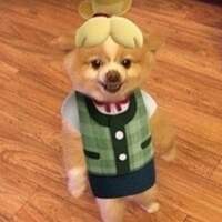 llun