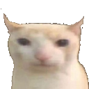 Catfweh