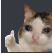 Jojo KAT