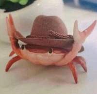 crabdeci