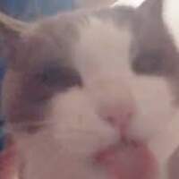 tomathan