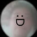 caloy_lmao