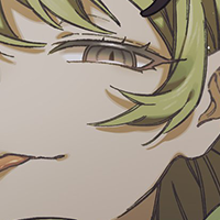 Meiolkii
