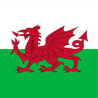 Wales's Avatar
