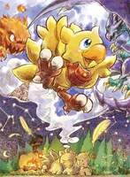 ChocoboXIII