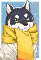 bakappuru