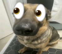 aetru