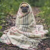 Puggnacity