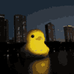 DucDucGoos