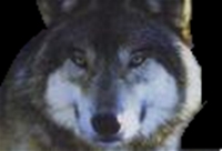 DDRDude824's Avatar