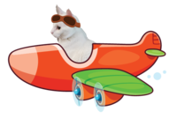 spazinwacker