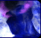 ZEROED's Avatar