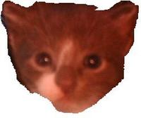 mattemt's Avatar