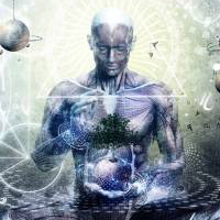 liquidmind's Avatar