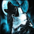 moonnight