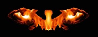 starsfreaky's Avatar