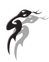leo_taiji