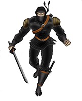 ninja44