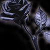 RoseSolar