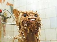 madagascgar