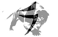 knux7335