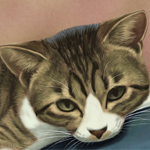 dag12