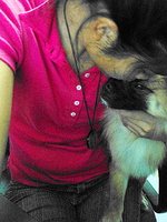 kevins_bebe