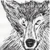 OracleWolf's Avatar