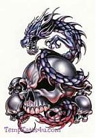 draco_chick4eva