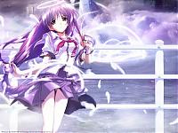 kagome1