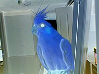 spikeskug's Avatar