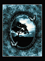 miwakoa