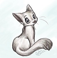 Cats_Go_Meow