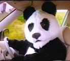 Pooping_Panda's Avatar
