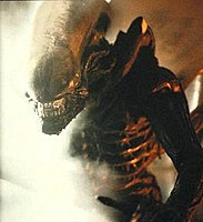 UNDERD5
