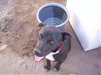 zerogravity14's Avatar