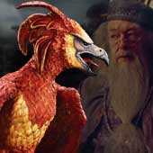 harrypotter_phoenix