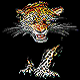 leopardmagicman