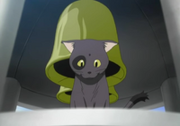 ddrfeline