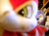 gummi_pirate