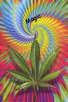 Magic_V2