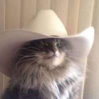 MissCriss's Avatar