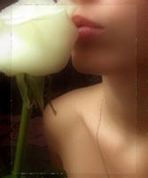 tru_night_angel