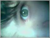 ESREVER
