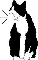 liquidswords's Avatar