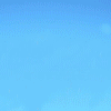 stepdude
