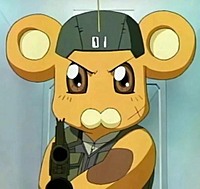 kingkota