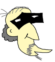 Sloqx