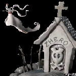 zherocool