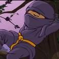 skyninja